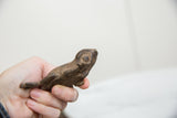 Side profile of the small vintage bronze frog highlighting its rustic facial details.