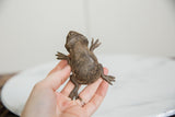 Vintage African bronze frog held in hand, showing the handmade scored texture on its back.
