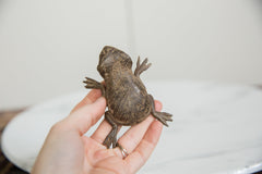 Vintage African Bronze Frog // ONH Item ab01234 Image 2