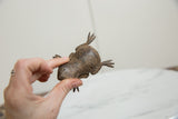Vintage bronze frog held in hand, showing the scale and detail of its textured back.