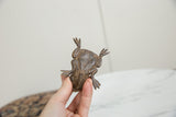 Handmade African bronze frog held in hand to demonstrate its small, collectible scale.