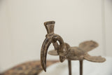 Detailed view of the etched crest and long curved beak of an African bronze bird.