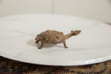 Textured shell with concentric patterns and detailed head of the African bronze turtle.