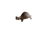Mid 20th century vintage African bronze turtle, handmade with textured patina.