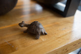 Vintage African bronze turtle showcasing its textured shell and aged patina.
