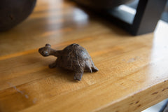 Vintage African Bronze Turtle // ONH Item ab01309 Image 3