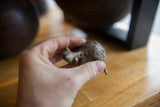 Vintage African bronze turtle held in hand, highlighting its dark patina and textured shell.