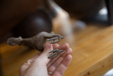 Detailed view of the textured, hand-formed feet of the vintage bronze bird.
