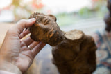 Hand holding the textured, broken head of an antique African Nkisi fetish figure.