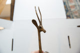 Close-up of the left-facing African bronze gazelle's head and spiral horns.