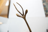 A detailed view of the handmade texture on the vintage bronze gazelle's slender horns.