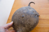 Overhead view of the vintage African turtle's shell, detailing its radial carved lines and texture.