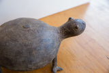 Profile view of the vintage turtle's head and the incised line detail on its shell.