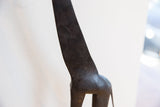 Hand-carved textural patterns on the dark patina of the vintage giraffe's neck.