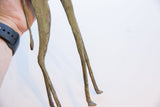 Slender legs and small tail of a vintage African giraffe figure with earthy green patina.