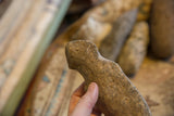 A hand holding the antique stone weapon to show its weathered, tactile surface.