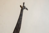 Detailed view of the vintage African giraffe's sculpted head and etched neck.