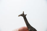 Aged, textured patina on the sculpted head of a vintage bronze giraffe.
