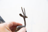 Close-up view of the vintage African gazelle's head and textured horns.