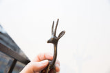 Close-up profile of a vintage African gazelle showing its textured horns.