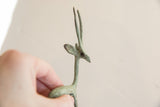 Slender neck and antlers of a vintage African gazelle, with rich green patina.