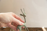 Close view of the vintage African gazelle's ridged horns and oxidized patina.