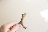 Aged, mottled texture of a vintage African lioness sculpture held in hand.