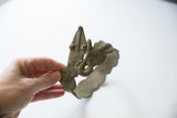 Vintage African snake cuff held to show its scale and sculpted form.