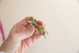 Vintage African impala ram gold weight with aged green patina and small hole.
