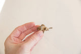 Vintage African mini elephant held between fingers to illustrate its small scale.