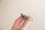Vintage African turtle, close-up of its head, front legs, and spiral shell with green patina.