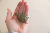 Vintage African turtle collectible featuring green patina and spiral carved shell details.