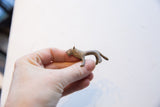 A hand holds a vintage African mini lion to show its small scale and patinated finish.