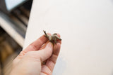 Hand holding a vintage African mini elephant, showing its patina and petite size.