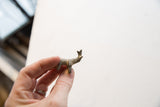 A hand holding the small vintage African elephant to demonstrate its miniature scale.