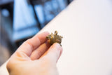 Vintage African turtle pendant with a caged body held in hand to show its scale.