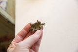 Back view of the vintage African bronze turtle pendant showing its hollow underside.