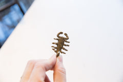Vintage African Bronze Scorpion Pendant // ONH Item ab01746 Image 1