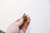 Small vintage African turtle pendant held in hand, showing its oxidized finish and scale.
