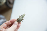 Aged bronze texture of the mesh-bodied African crocodile pendant shown in hand for scale.