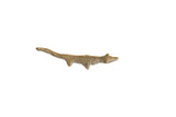 Vintage African bronze lizard figurine showing its textured body and aged patina.