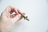 Vintage bronze boar pendant held in hand to illustrate its small scale and texture.