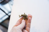 Vintage African bronze elephant pendant held in a hand to demonstrate its scale.