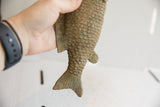 Bumpy scales and grooved tail fin of the weathered African fish sculpture.