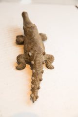 High-angle view of the vintage African crocodile showing its carved, textured back.