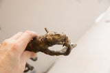 Close-up of the vintage cheetah's head, showing its textured patina and prey.