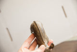 Detail view of the vintage ewe sculpture's back, showing its textured spine and aged surface.