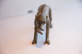 Frontal view of a vintage monkey figurine, showing its textured spine and banana.