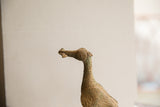 Detailed profile of a vintage African bird sculpture's head with a spiral eye and textured patina.