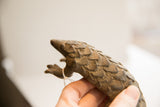 Hand-carved details of the vintage pangolin sculpture's head and overlapping scales.